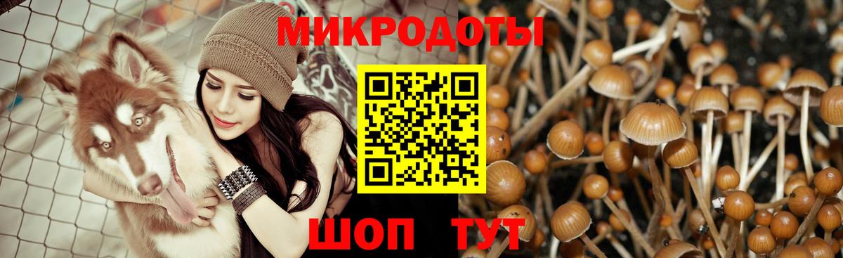 Псилоцибиновые грибы Psilocybine cubensis  Вход с VPN  Отрадное 